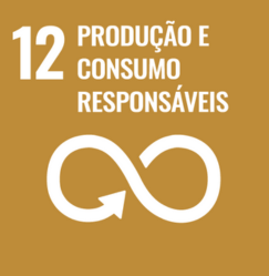 ODS 12